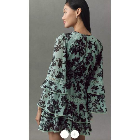 Anthropologie BHLDN Camila Long-Sleeve Chiffon Mini Dress Size Medium - Picture 4 of 16